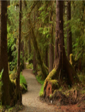CENTRAL GRAHAM ISLAND