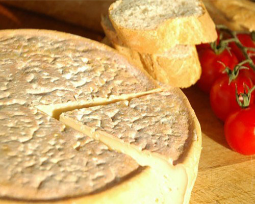 Cheese Factory